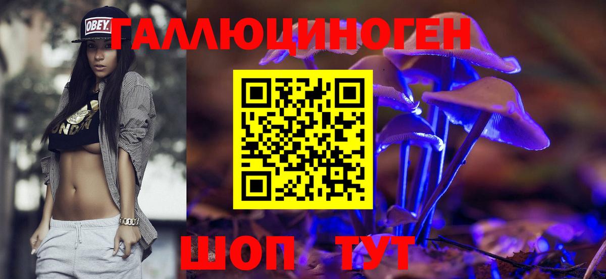 Псилоцибиновые грибы Psilocybine cubensis  наркошоп  Реутов  Вход с VPN 